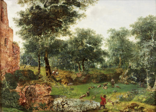 Wooded landscape